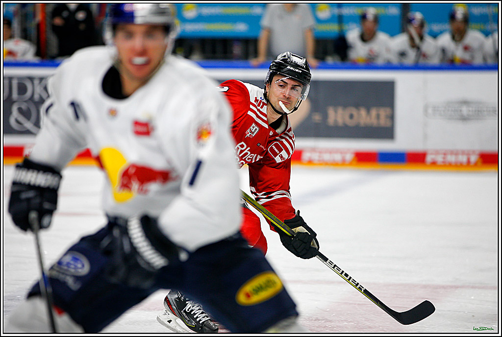 PENNY DEL; Koelner Haie- Red BUll Muenchen; Koeln, 08.11.2022